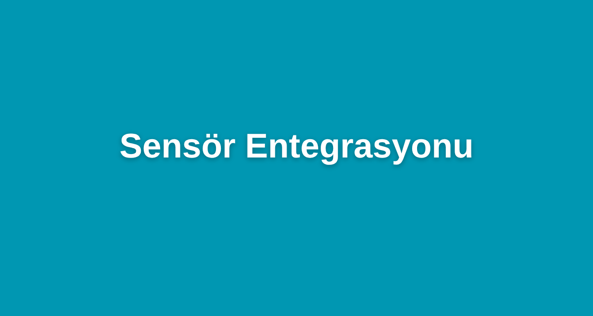 Sensör Entegrasyonu